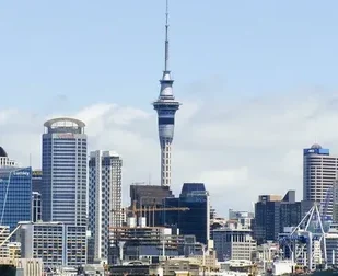 Legal document translation Auckland