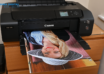 Why Professional Printing Is Important for Brand Identity