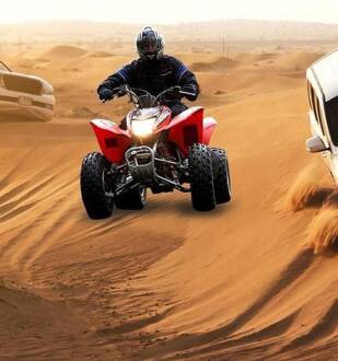 morning desert safari