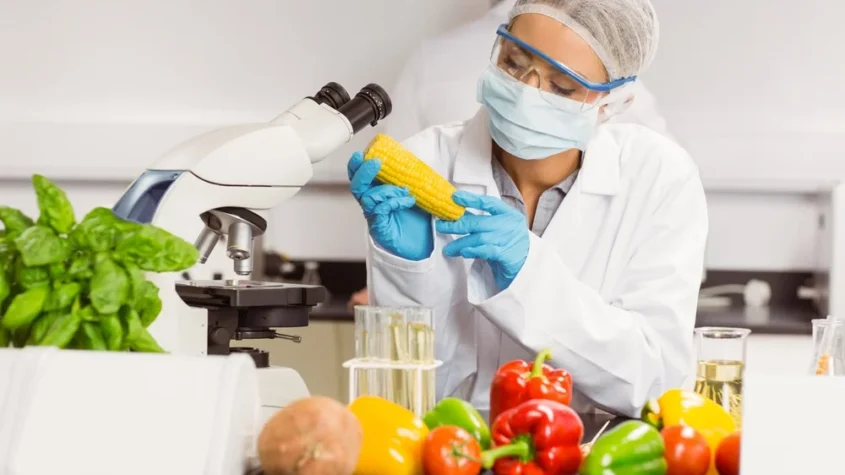 Nanofiber Technology in Food and Agriculture