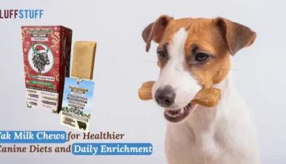 Yak Sticks for Dogs: Pack of 6 Chews That Promote Health and Happiness