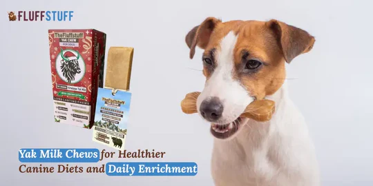Yak Sticks for Dogs: Pack of 6 Chews That Promote Health and Happiness