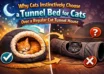 cat tunnel house