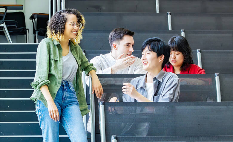 british university partner programmes