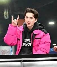 Timothée Chalamet Pink Puffer Jacket