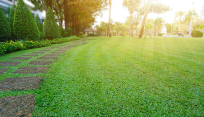 lawn-maintenance-frisco-tx