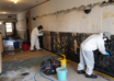 mold-and-fire-restoration