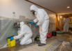 mold-remediation