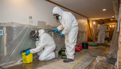 mold-remediation